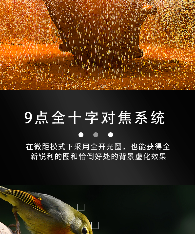防爆相機（jī）Excam1805