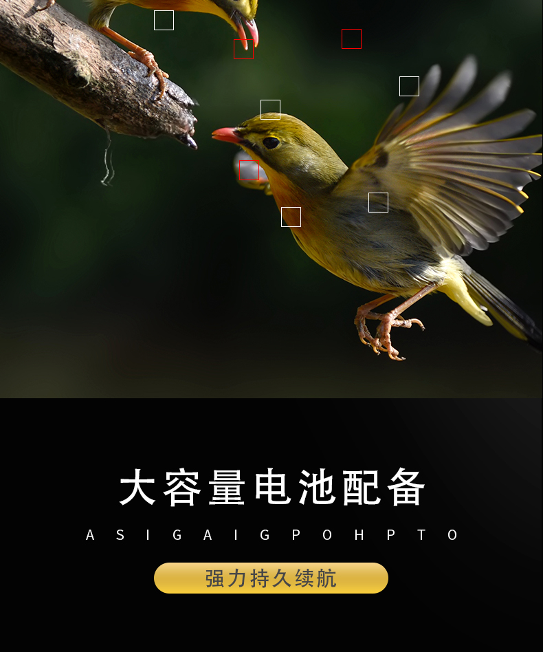 防（fáng）爆相機Excam1805