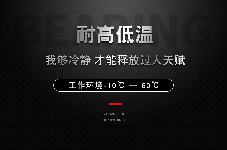 防爆(bào)平板電腦Exipab20